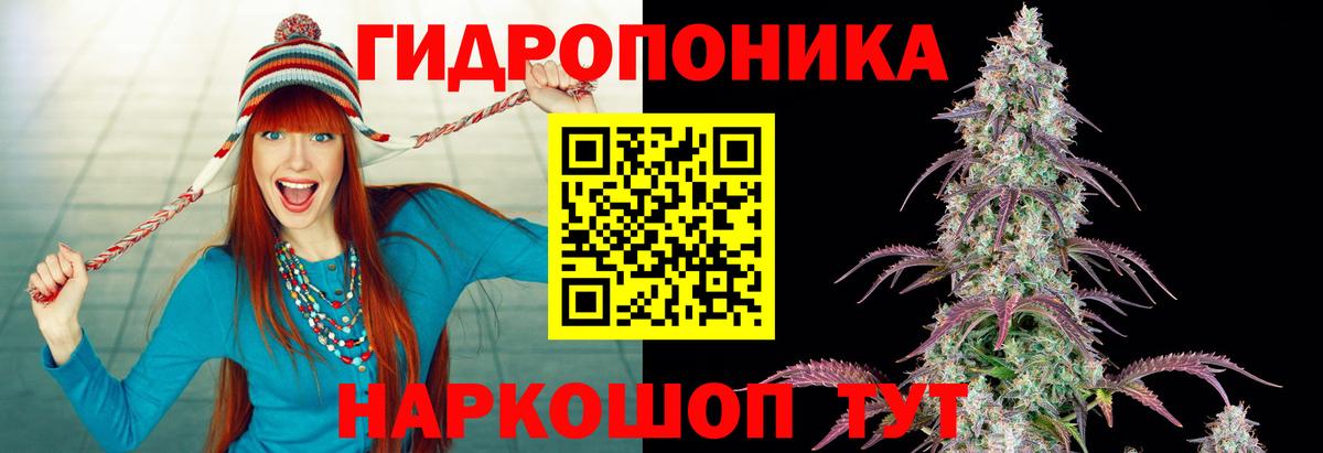 Шишки марихуана гибрид Анжеро-Судженск
